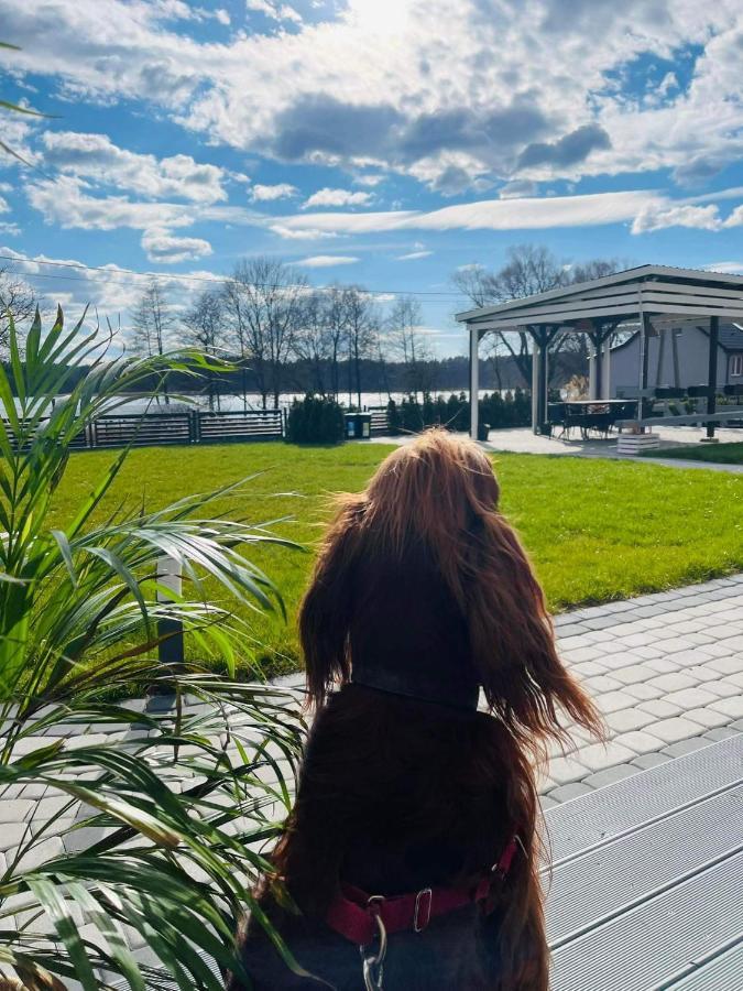Ekosfera Pilawa Lejlighed Borne Sulinowo Eksteriør billede